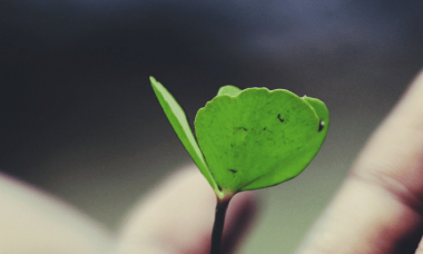 Website Blog Banner v39