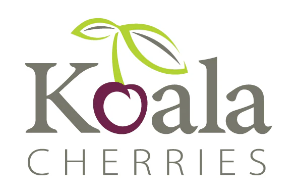 koala cherries logo.jpg