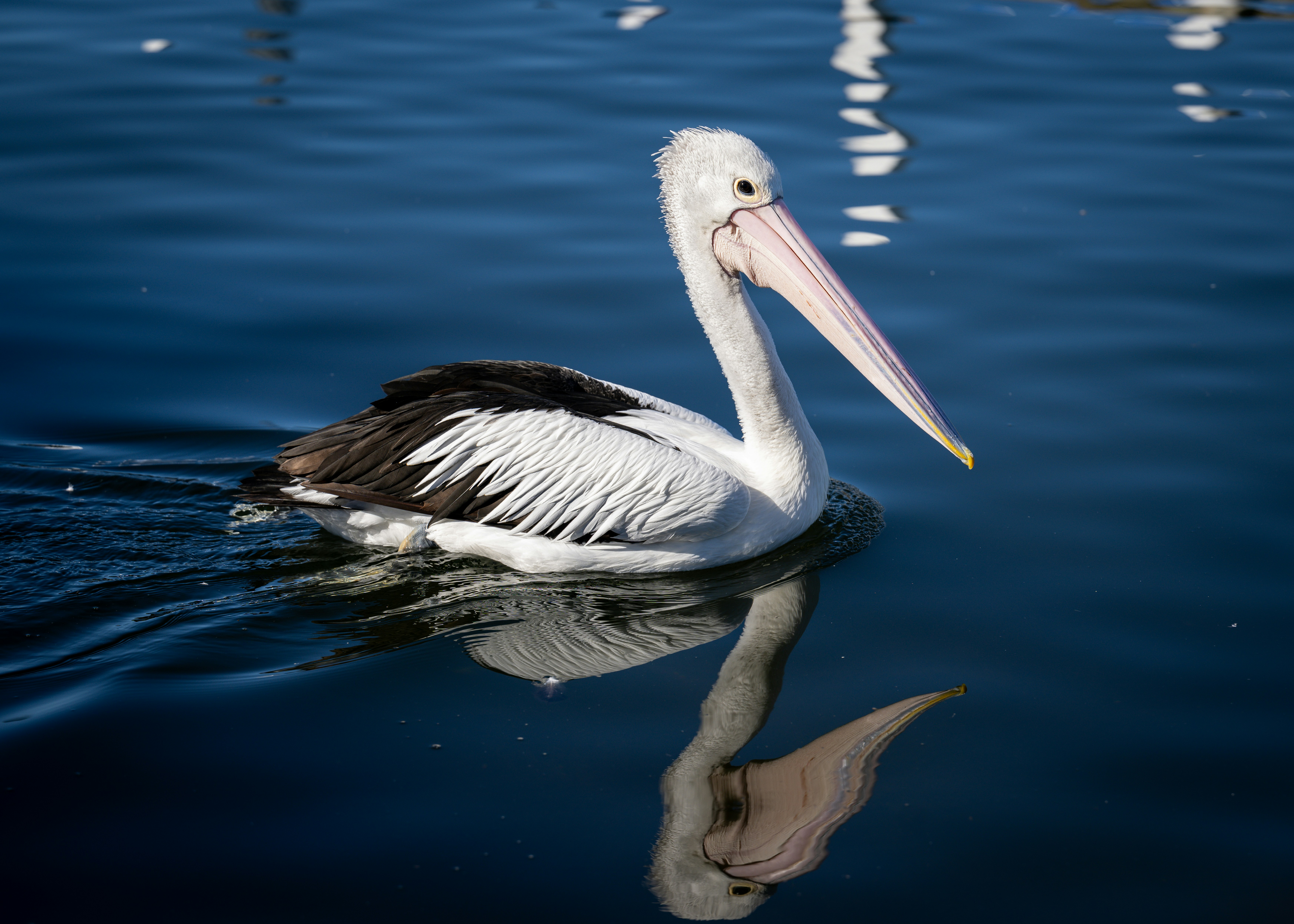 zoe askew mPiPGbgLZ8c unsplash